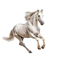 Fototapeta na wymiar running horse transparent background, png