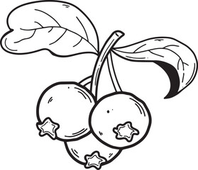 Blueberry icon Hand drawn Outline Simple vector illustration 