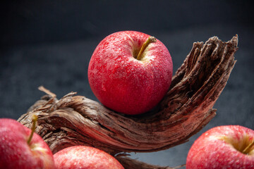 Close up view of red fresh apples and tree branches on dark wave background