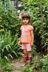 A cute little girl is picking red currant berries in the garden. Portrait of a smiling little girl eating fresh berries in the backyard. Fresh healthy organic food for young children.
