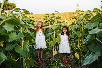 Happy children pose in a meadow with large yellow sunflowers. Two little girls are having fun in nature. Little explorers. The family rests outside the city. Happy childhood, harmony with nature.