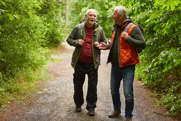Male friends in jackets exploring forest at vacation