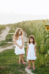 Two little girls pose in a meadow against the background of blooming sunflowers. Little explorers. The family is relaxing outside the city. Education and relationships between children.
