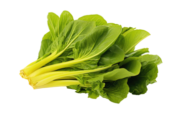 Mustard greens isolated on transparent background. Generative Ai
