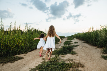 Happy children running and jumping in a meadow at sunset. Two little girls having fun in nature. Little explorers. The family is relaxing outside the city. Happy childhood, harmony with nature.