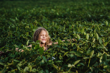 A cute girl peeks out from the soybean field and smiles enigmatically. The child explores nature. The child has fun outdoors. Soybean field at sunset.