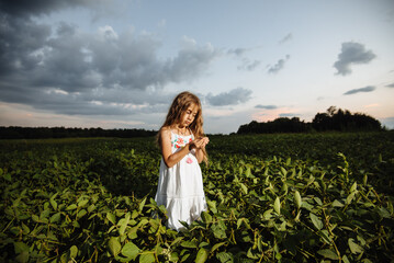 The cute sad little girl in a soybean field at sunset. Portrait of a lonely child in a green meadow against a blue cloudy sky