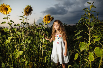 A child poses in a field with dried sunflowers. The concept of global warming, nature protection. Sad little girl in a meadow. Children's phobias