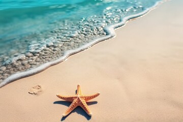 Fototapeta na wymiar Star fish on the sand at a tropical beach with clear sky