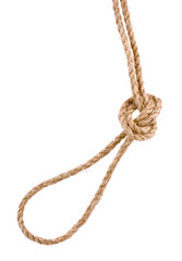 Rope with Knot on White background