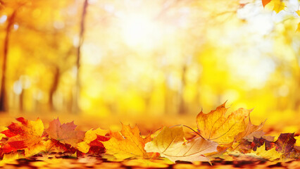 Colorful universal natural autumn background for design with orange leaves in autumn park and blurred background.