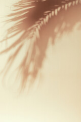 Palm leaf shadow on a beige wall. Minimal summer exotic concept with copy space