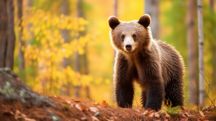 bear cub on nature. generative ai