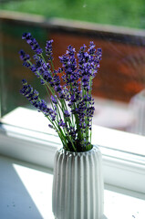 lavender flowers in a vase