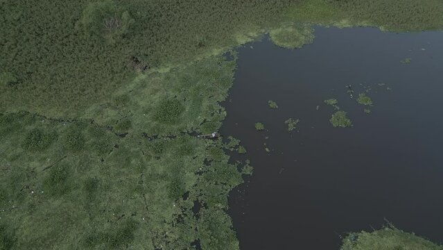 Amazonian fisherman navigating through the brush on the Itaya River, file with D-log color profile, Cinelite, color edition