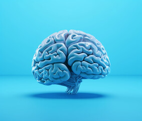 illustration of human brain, 3d model of the human brain on a blue background 