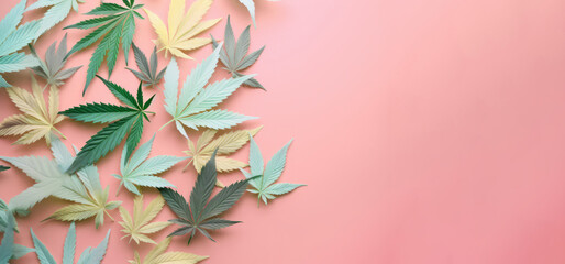 Fototapeta na wymiar Colourful marijuana cannabis leaves on a pink background