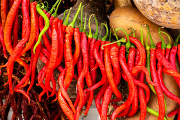 bunch of red hot peppers and spices