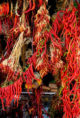 bunch of red hot peppers and spices