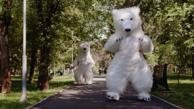 A couple of a giants polar bears puppets doll dances in a green park, in a background of green trees, in summer, outdoors. The concept of recreation, children's party