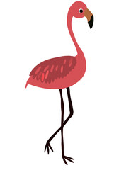 Flamingo -  Pink Flamingo PNG