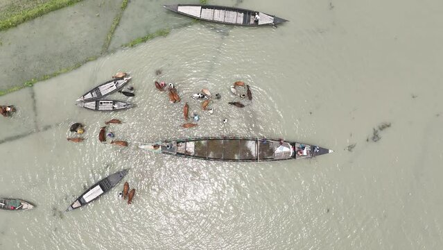 
A group of boats in a body of water