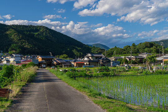 Japan's most spectacular scenery - Powered by Adobe