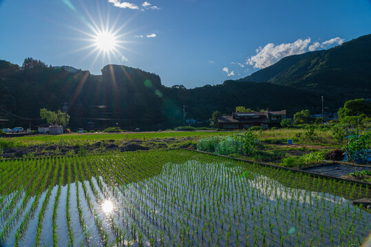 Japan's most spectacular scenery - Powered by Adobe