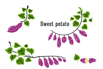さつまいものイラスト・フレームセット（カラー）