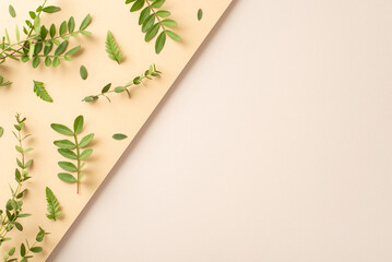 Eco friendly cosmetics concept. Top view photo of empty place with eucalyptus and bracken foliage and branches on isolated two-parted beige background with copy-space