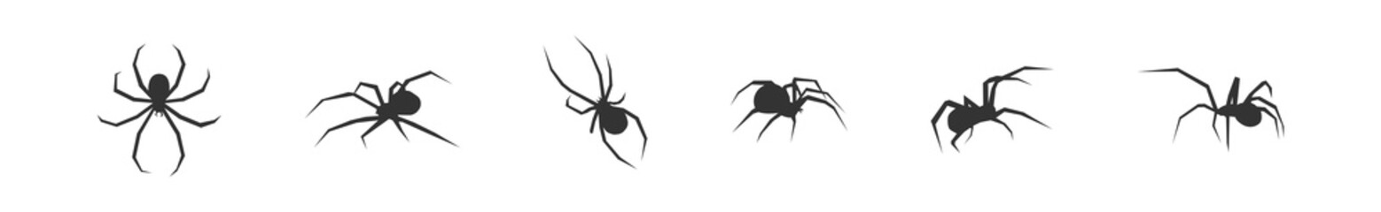Halloween spider set icons. Silhouette of black insect icon. Vector holiday October poster, flat horror illustration
