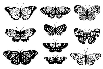 Set of sketches, doodles of butterflies, night moth.Vector graphics.