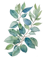watercolor of branch eucalyptus leaves  ,generative ai