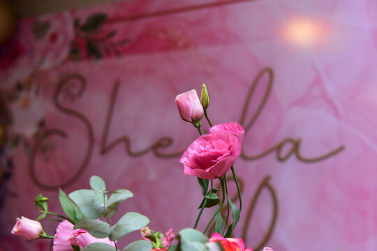 pink rose in garden, showy prairie gentian, pink rose, Eustoma russellianum, Eustoma ,Showy prairie gentian, prairie gentian, Texas bluebells, Texas bluebells, bluebells and Lisianthus, rose withou
