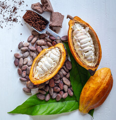 Top view of cut in half cacao pods with white cocoa seed and brown cocoa powder on white background