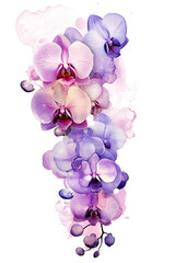 Naklejka na ściany i meble cluster of orchid and lilac bubbles, watercolor paint abstract border frame for design layout, isolated on a transparent background, generative ai
