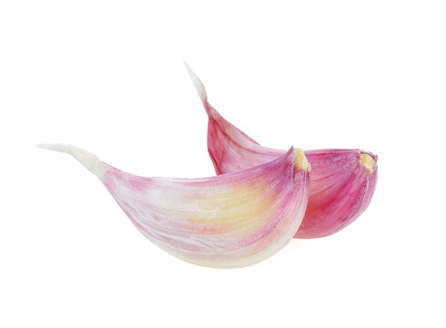 garlic on transparent png