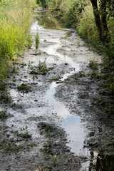 Obraz premium crespin 