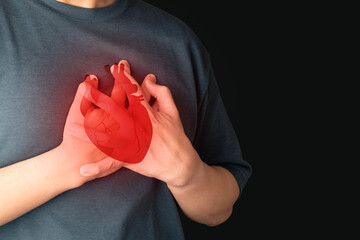 Man suffering from chest pain, having heart attack with heart organ anatomy over black background. Warning signs of unstable angina, myocardrial infarction, coronary artery disease. Cardiological.