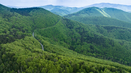 the road to the village of Čičmany, through the spring forest - 615110737