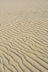 夏の鳥取砂丘とその紋様 鳥取県 鳥取砂丘