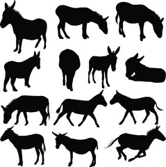 Donkey silhouettes vector