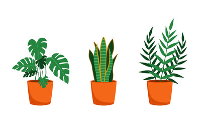 organic flat houseplants collection design