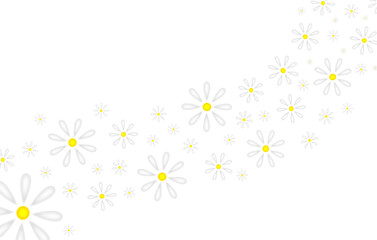 Obraz premium beautiful illustration of daisies on a white background 