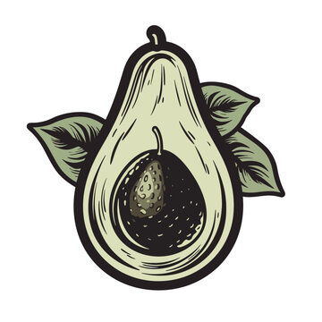 Avocado in the section isolated vector on a white background logo