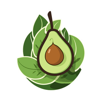 A green avocado in the section isolated vector on a white background logo.
