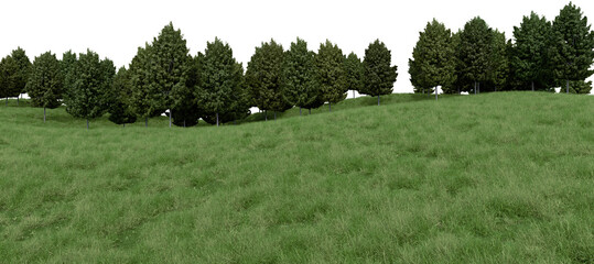 Realistic grass hill and forest tree line. 3d rendering of isolated objects.