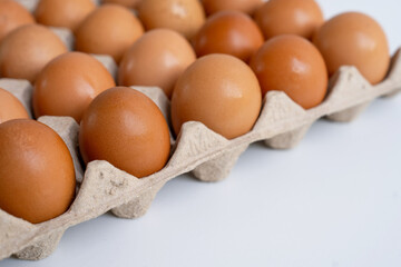 Close-up photo of eggs on white background