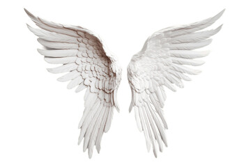 Angel Wing Transparent Isolated Feathers, AI