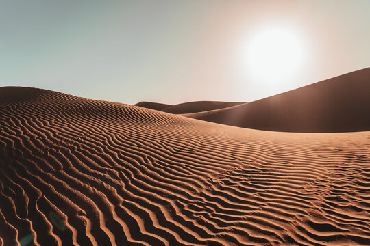 Nature's masterpiece: Intricate patterns sculpted by wind upon the desert sands, a captivating display of rhythmic curves and delicate ripples.
